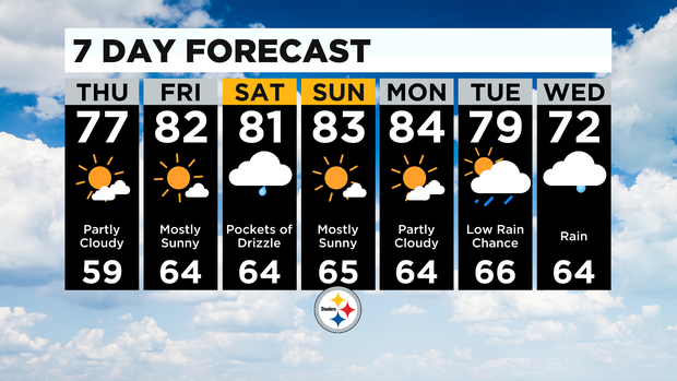 7 Day Forecast 