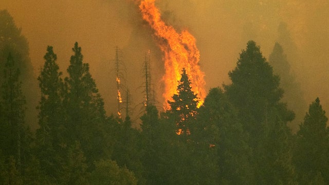Western Wildfires 