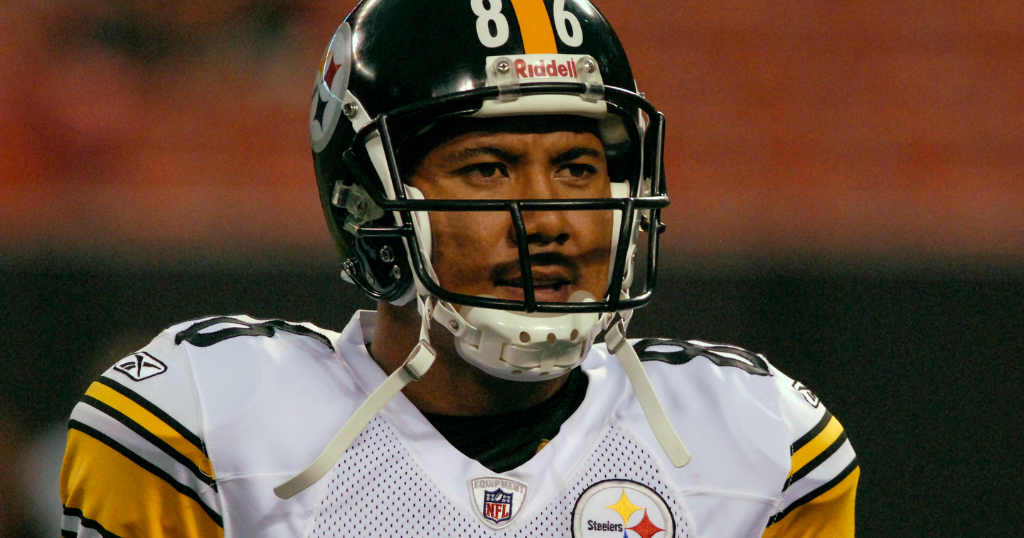Hines Ward and James Harrison not finalists for Pro Football Hall