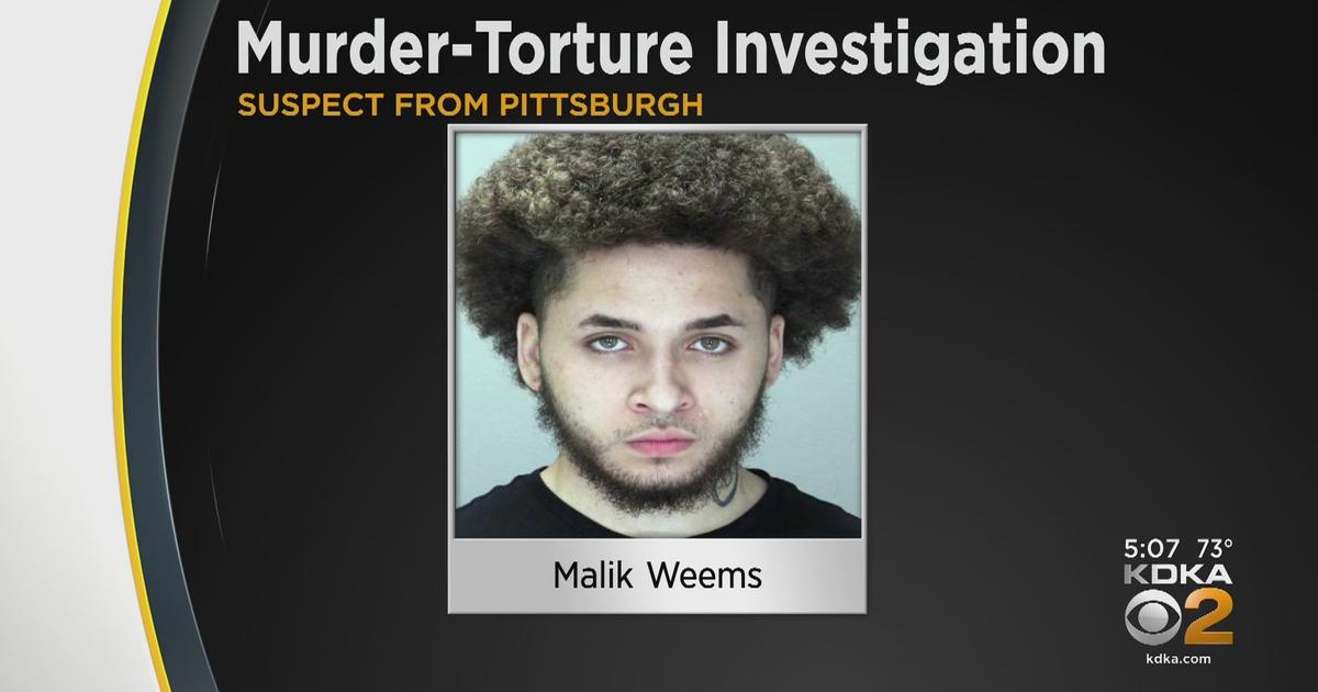 18YearOld From Pittsburgh Indicted For Torture And Murder In New York