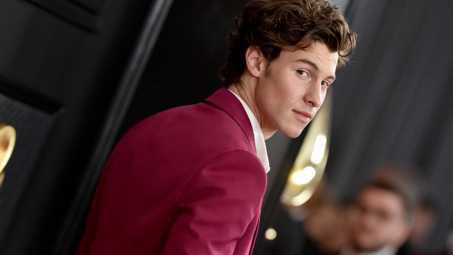 shawn-mendes.png 