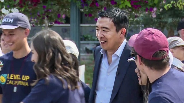 andrew-yang_mtnvu.jpg 