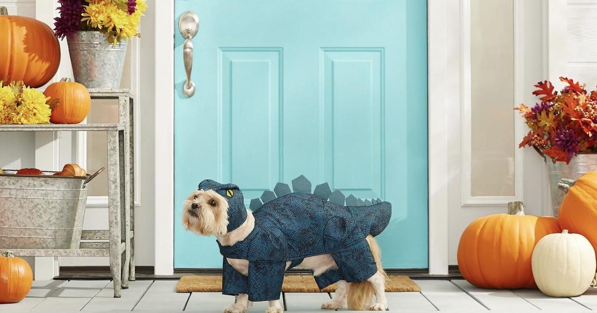 Animal Planet Triceratops Dog Costume - Large