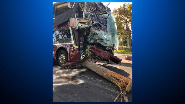 Fremont bus crash 