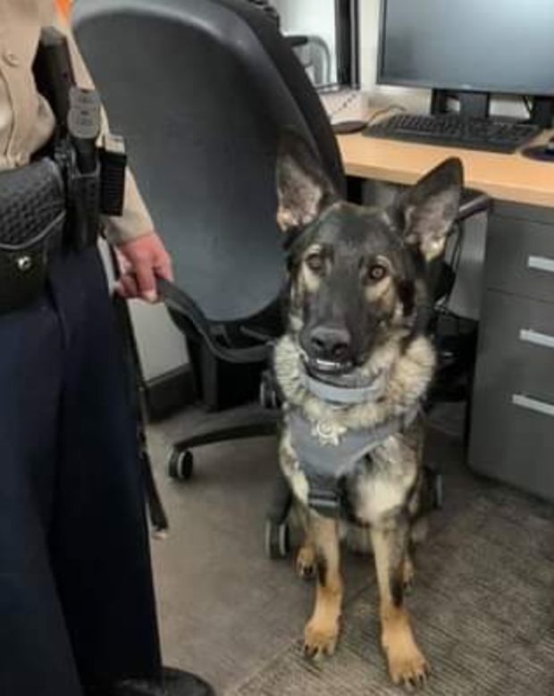 Traffic Stop Drug Busts (K9 Zane from Eagle County SO on FB) 