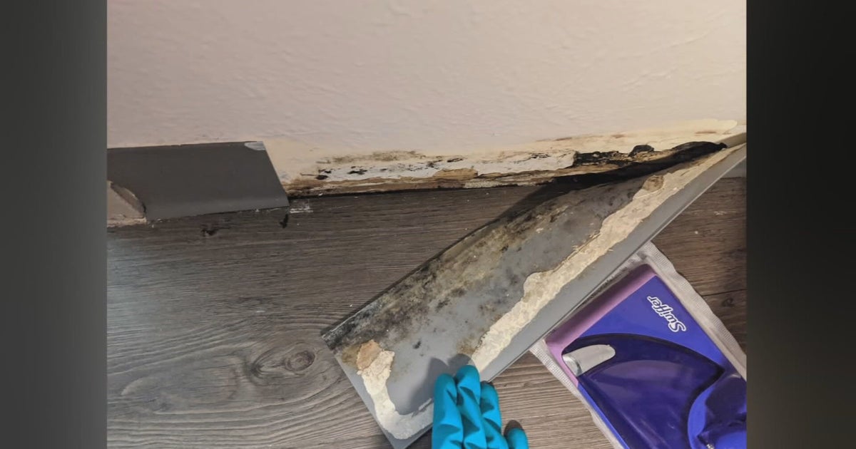 200+ Residents At Apartment Complex In Denver Claim Unlivable