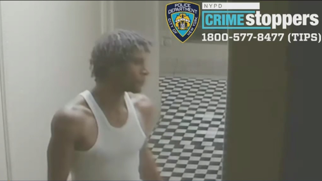 bronx-attempted-burglary-video.png 