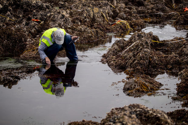 Major oil spill in Orange County 