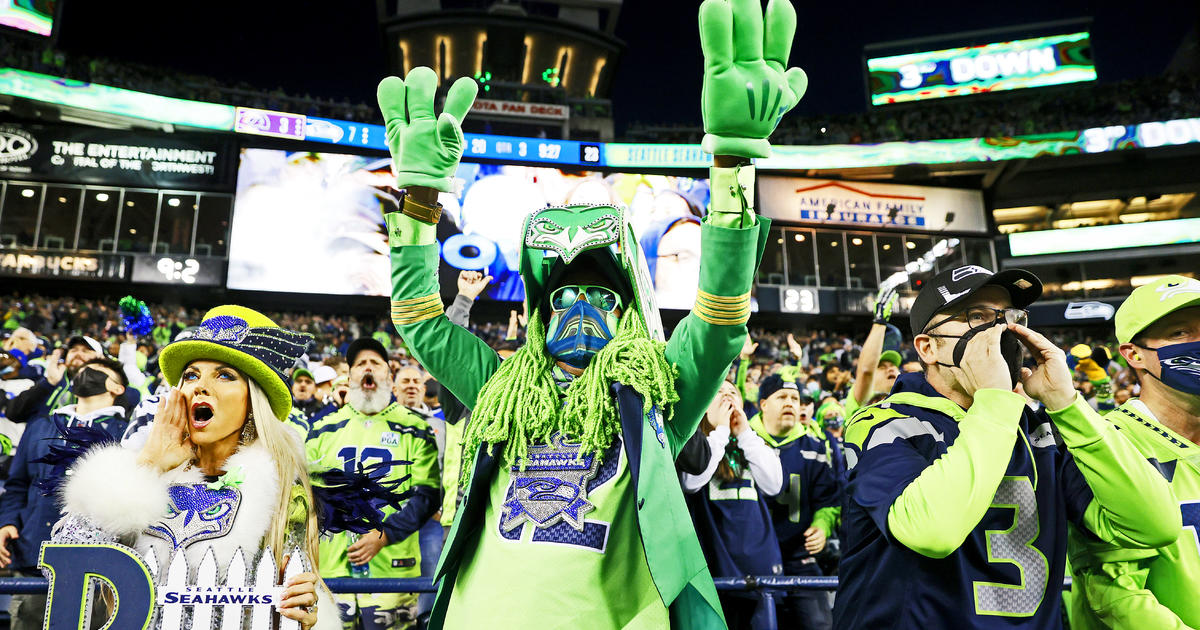 Seattle's live seahawk mascot goes off course before game, lands on fan's  head – KIRO 7 News Seattle