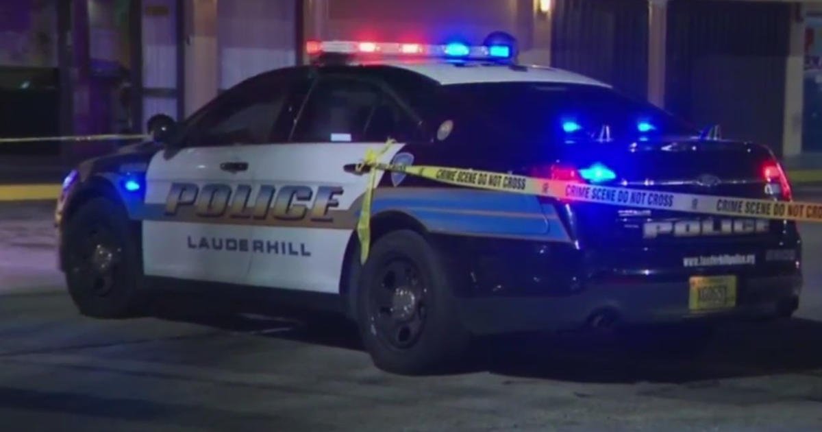 Lauderhill officer shoots dog during attack