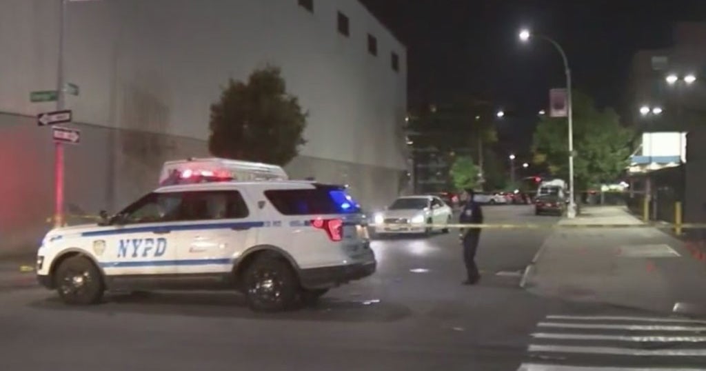 30-Year-Old Woman Killed In Apparent Stray Bullet Shooting In Brooklyn ...