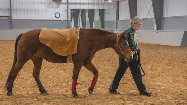 TEMPLE-GRANDIN-NEW-BOOK-7VO.transfer_frame_183.jpeg 