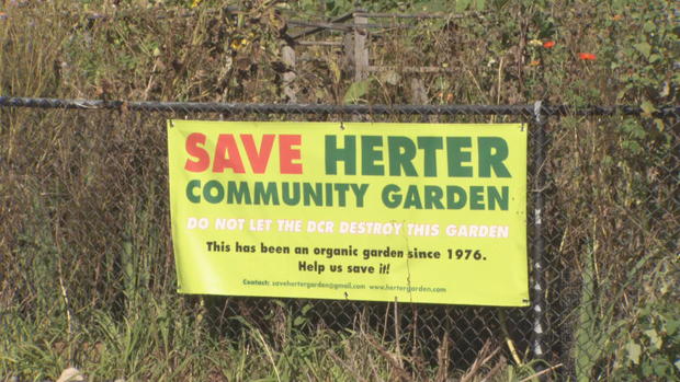 Herter Community Garden 2 
