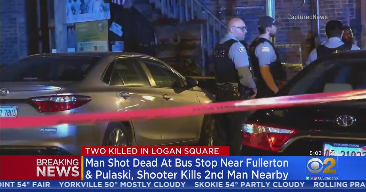 Deadly Logan Square Shootings, Carjacking Connected To Wisconsin