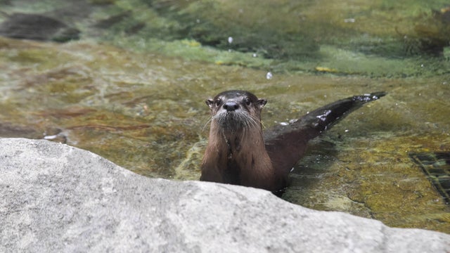 DSC_2339.jpg 
