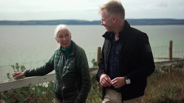 jane-goodall-seth-doane-english-coast.jpg 