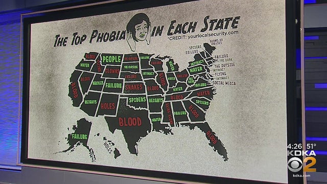 phobias-by-state.jpg 