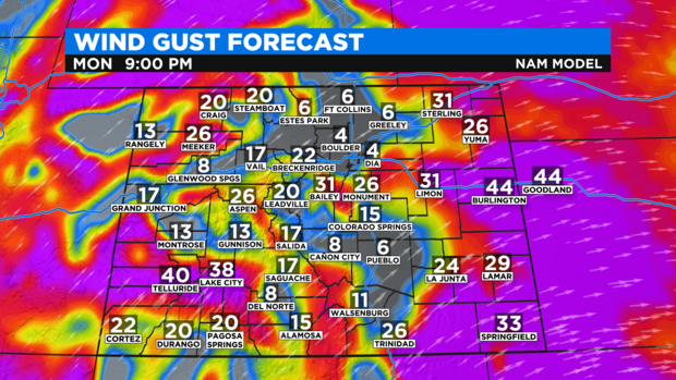NAM State Wind Gusts2 