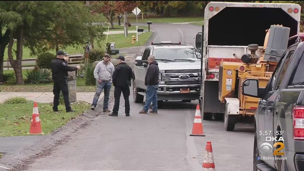 wood chipper accident