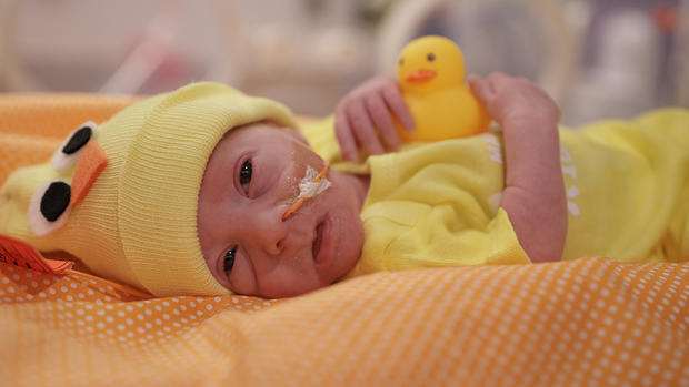 make-way-for-ducklings-Liam-Smith.jpg 