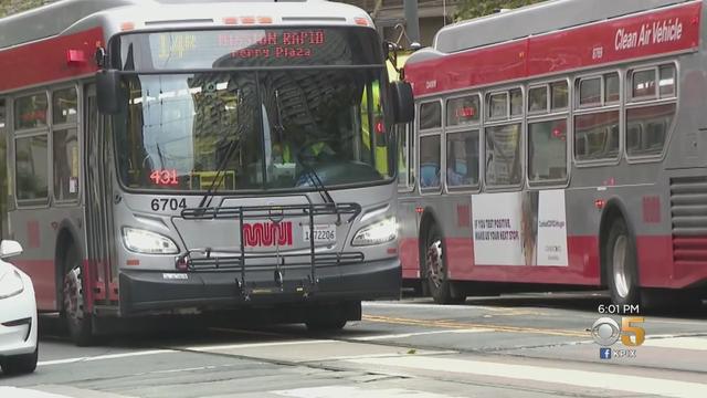 muni_buses_110121.jpg 