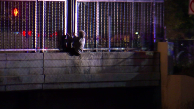 70-year-old woman hanging off I-94 overpass 