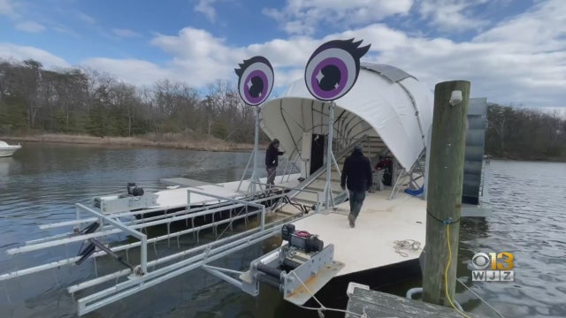 snapshot-2021-03-11T122451.919.jpg 