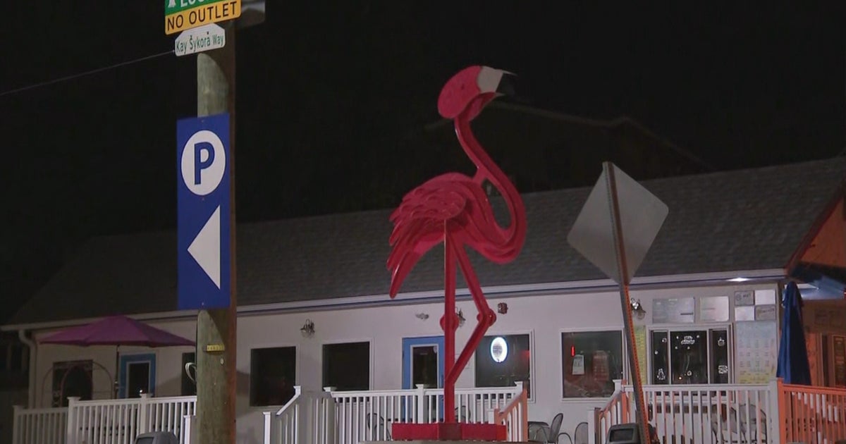 Meet Pinky, The New 15Foot Flamingo Sculpture Sitting Outside Manayunk