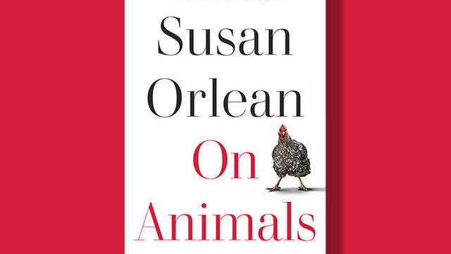 on-animals-cover-simon-and-schuster-660.jpg 