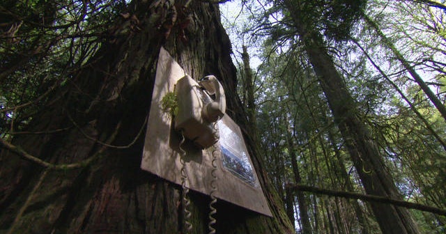 Telephones of the Wind Making calls to lost loved ones CBS News
