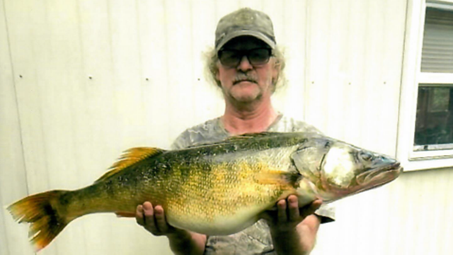 Richard-Nicholson-Walleye10241024_1.png 