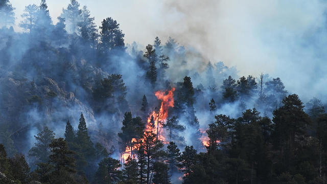 Kruger Fire in Estes Park 