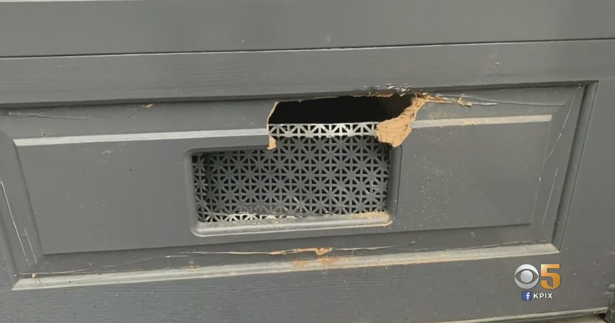 Thieves Using Drills, Makeshift Tools To Break Into Garages Of Homes In Pacific Heights CBS