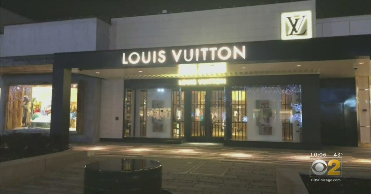 Oak Brook, Illinois, Louis Vuitton: 14 people rushed into a store
