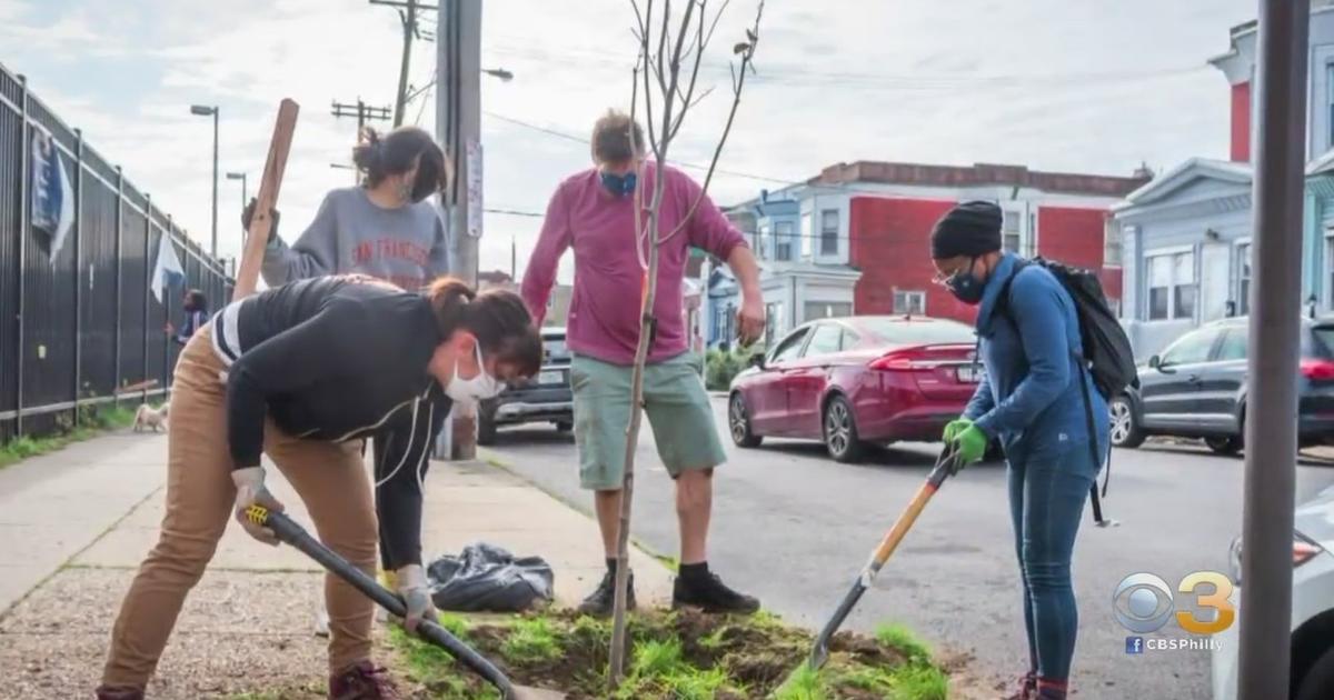 Pennsylvania Horticultural Society's Tree Tenders Program Planting ...