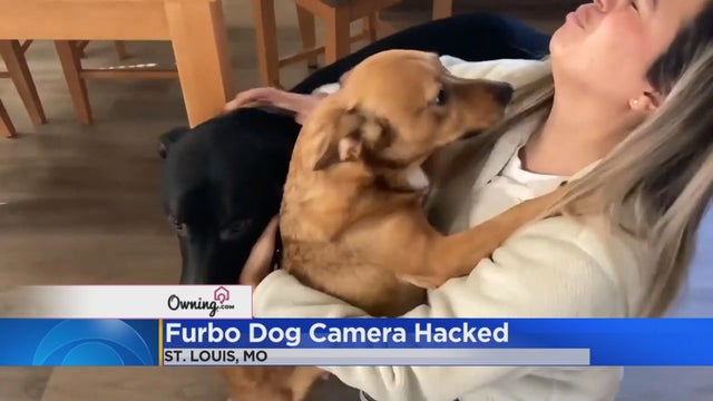 furbo-dog-camera-hacked.jpg 