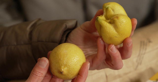What happens to ugly fruit and produce? CBS News