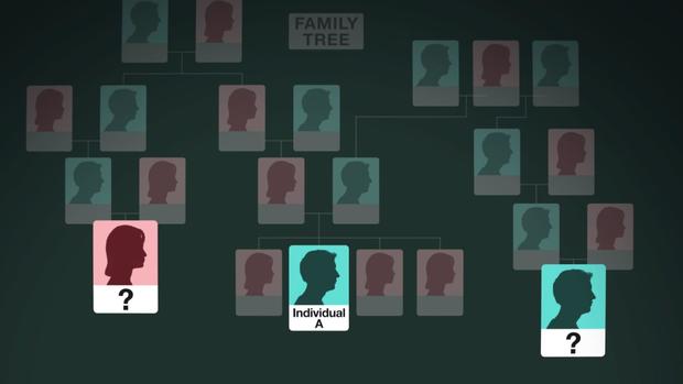 Rustad family tree 