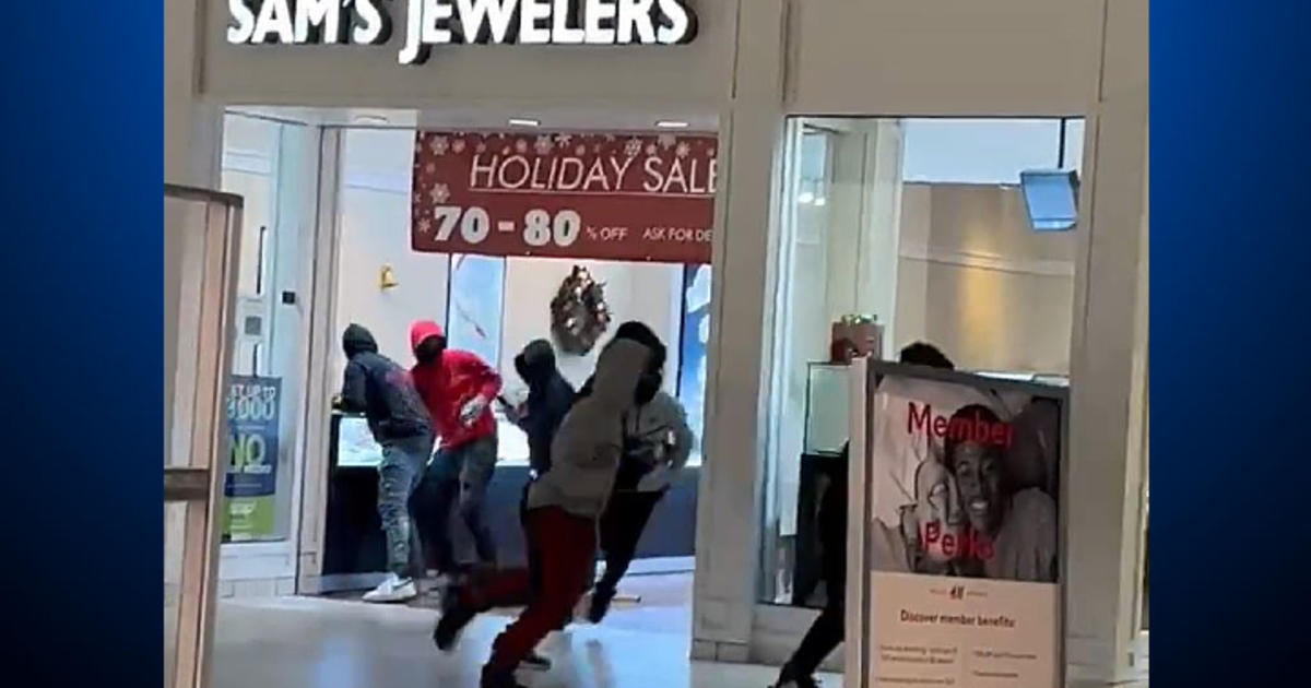 Robbery sends shoppers at California Westfield Topanga Mall fleeing in  panic of possible mass shooting - Raw Story