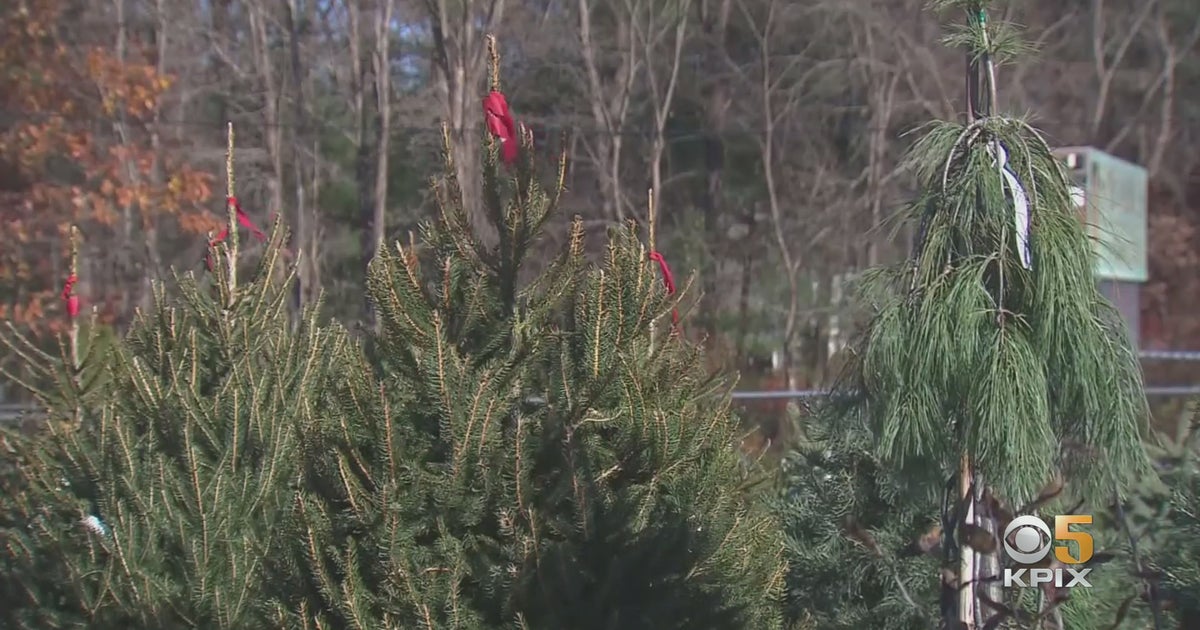 Fires, Drought, Supply Chain Issues May Mean Shortages At Bay Area