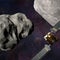 How to watch NASA spacecraft crash into asteroid at 15,000 mph
