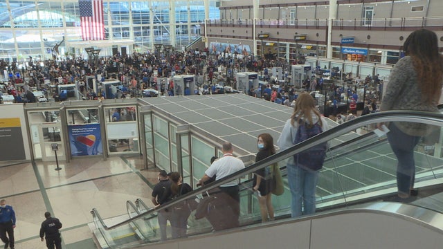 DIA-TRAVEL-6PKG.transfer_frame_1067.jpeg 