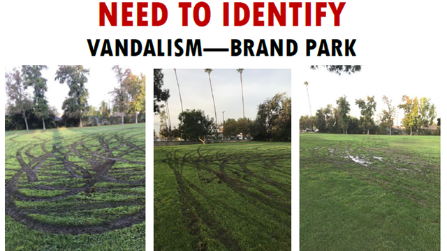 brand-park-vandalism.png 
