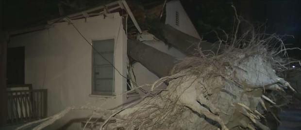 Powerful Santa Ana Winds Knock Out Power To Thousands Across Southland On Thanksgiving 