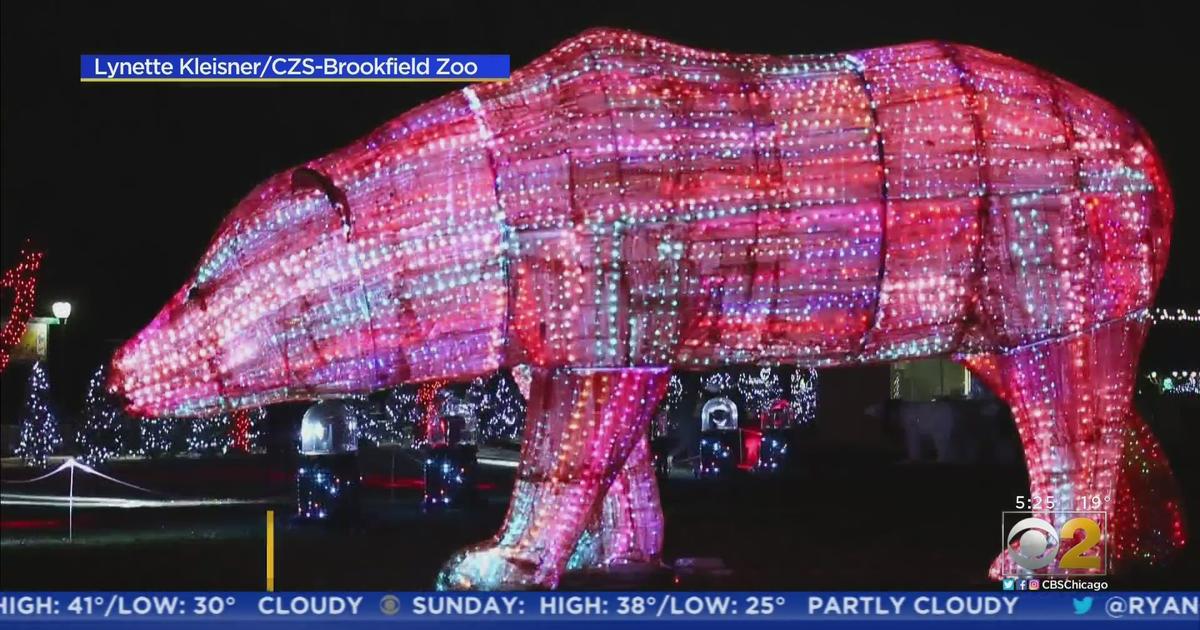 Brookfield Zoo's 'Holiday Magic' Light Festival Returns Friday For 40th