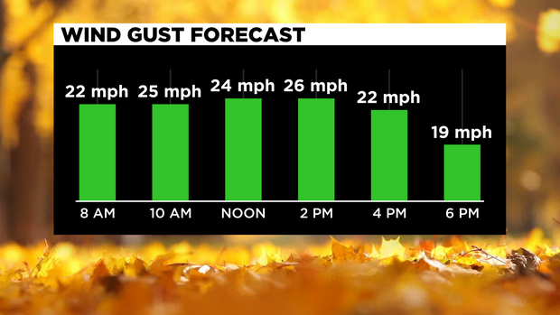 Wind Gust Forecast 