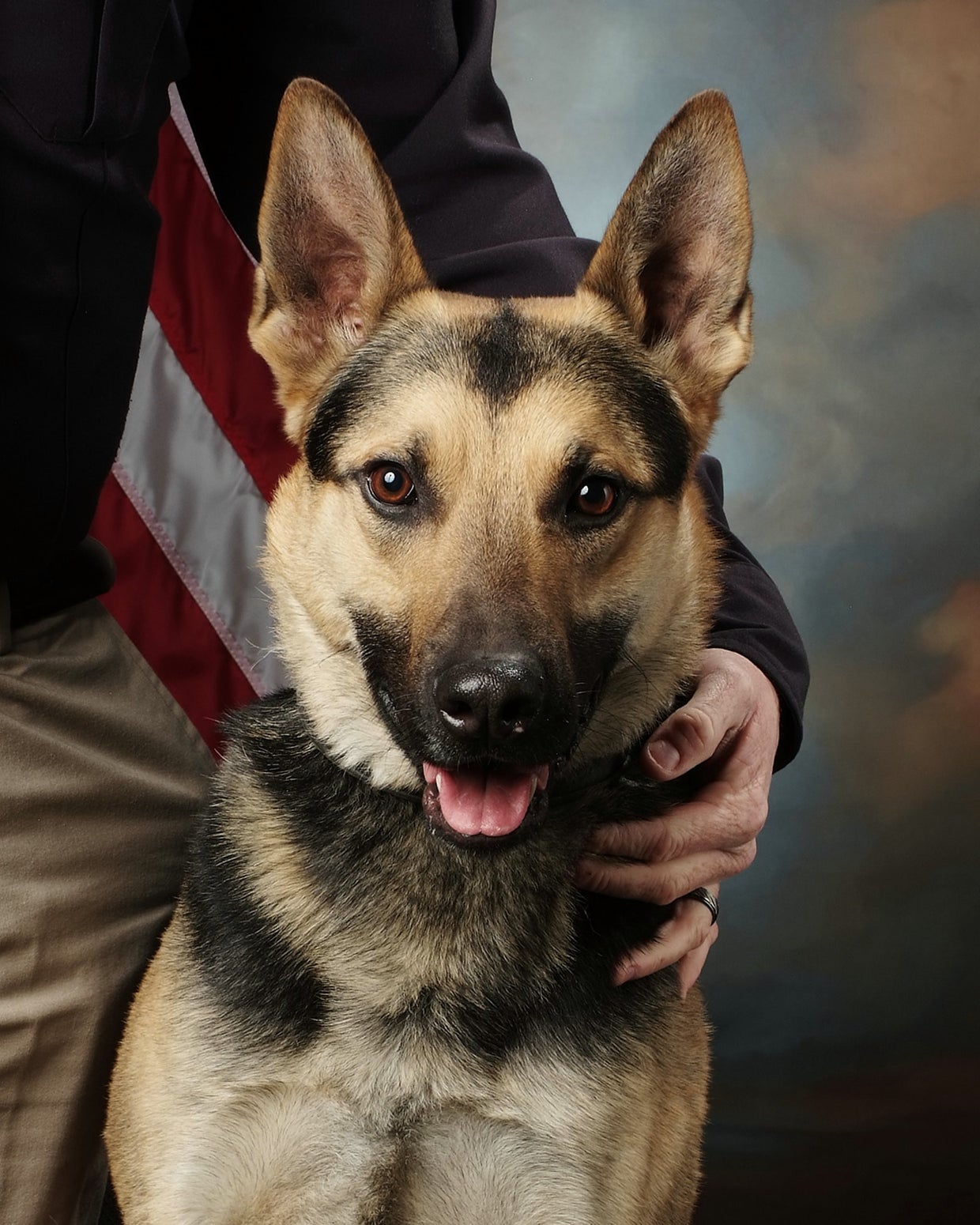 K9-Inox-credit-fort-collins-police-1.jpg 