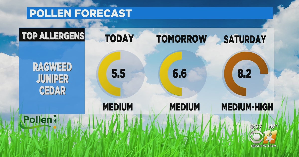 Allergy Sufferers, Get Ready; Pollen Count Expected To Jump As We