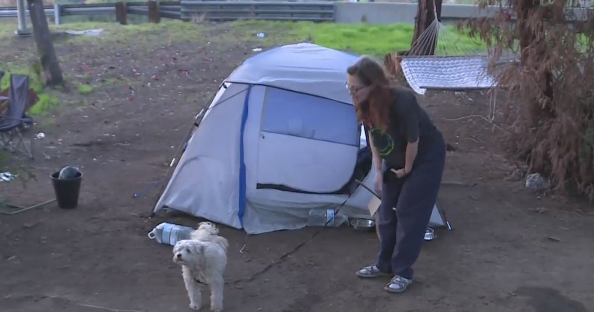 Sacramento Animal Care Services Pushes For More Help For Homeless Pets