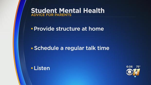 Student Mental Health Concerns 